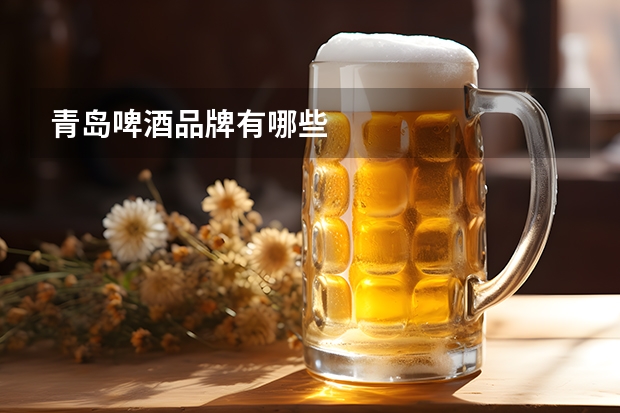 青岛啤酒品牌有哪些
