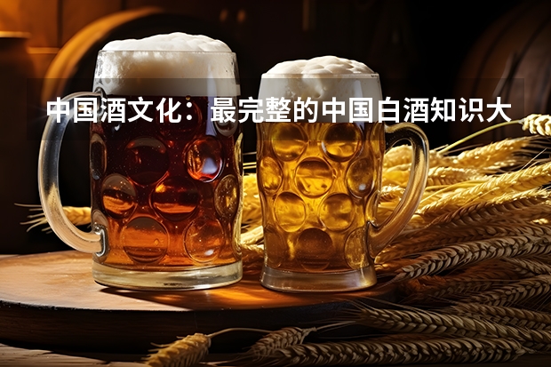 中国酒文化：最完整的中国白酒知识大全 白酒的专业知识